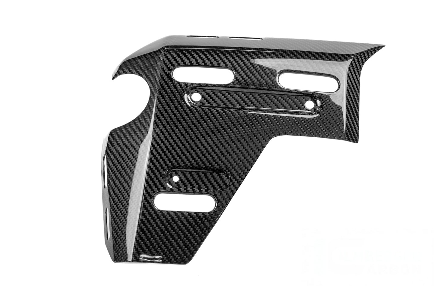Ilmberger radiator cover with holes for bag mounts R 1300 GS Adv. - left - carbon - glossy