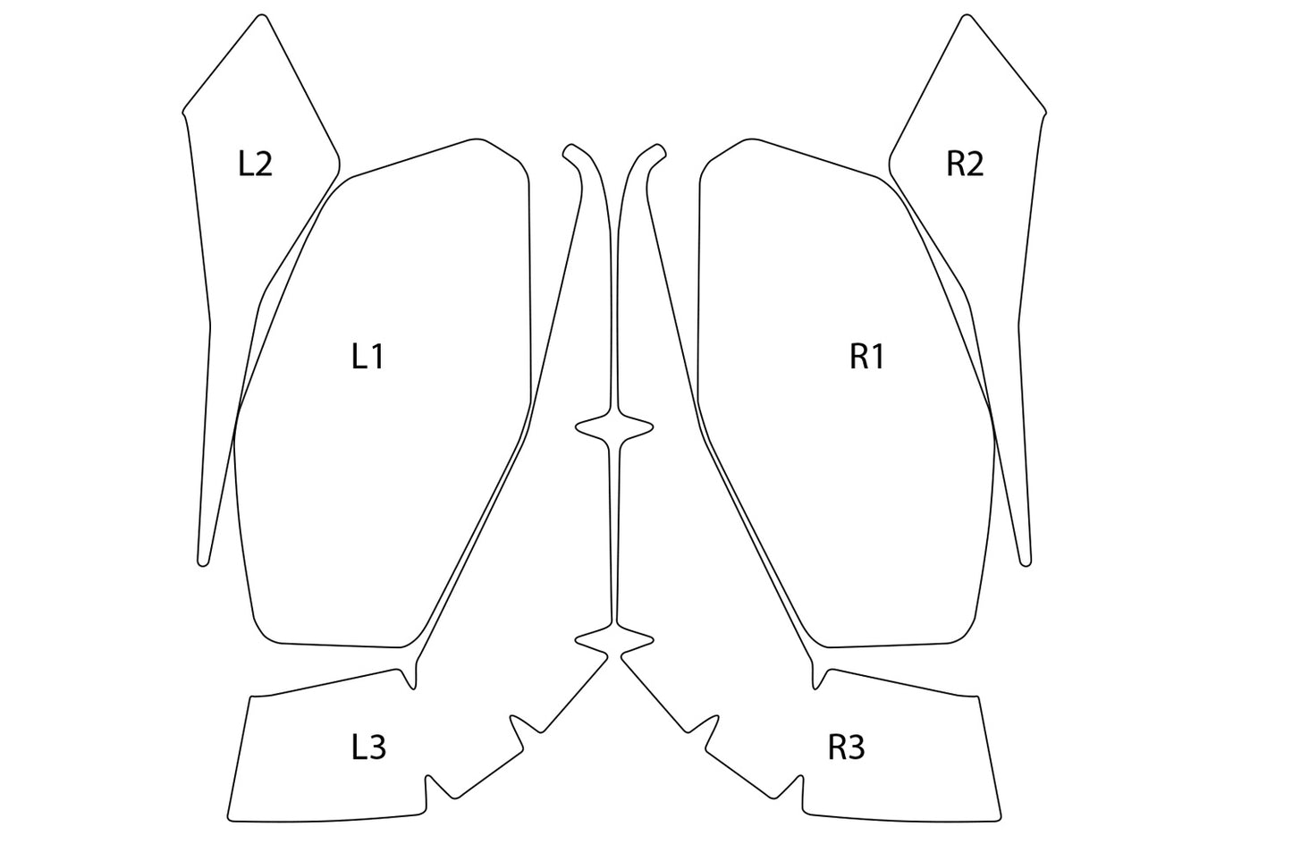 PremiumShield Side Pannier Protection Film Set R 1300 R + RS - clear