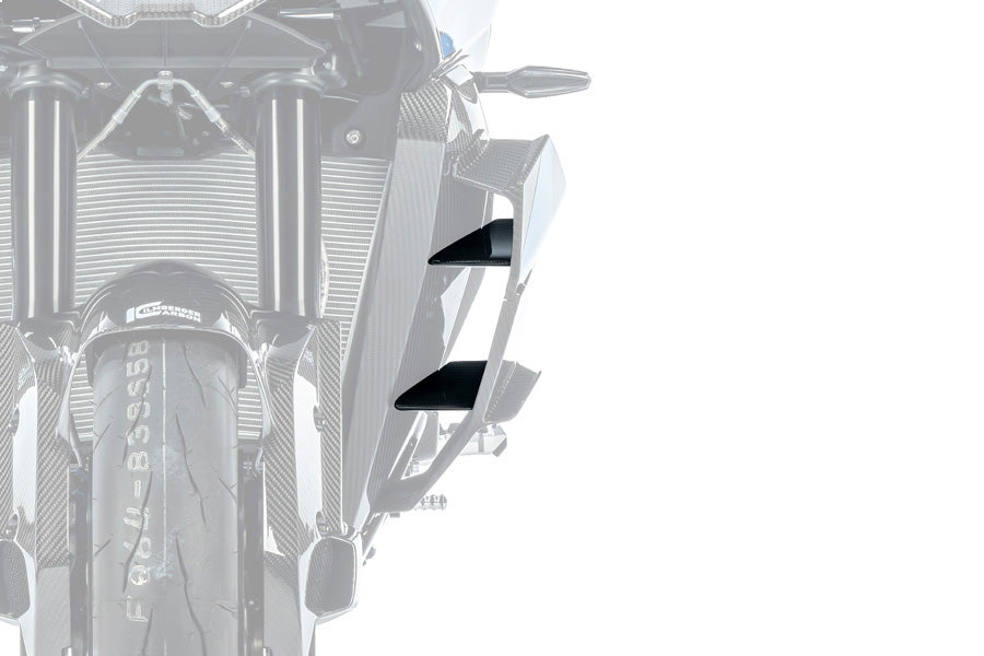 Ilmberger Inner Winglet M 1000 XR - left - carbon - glossy