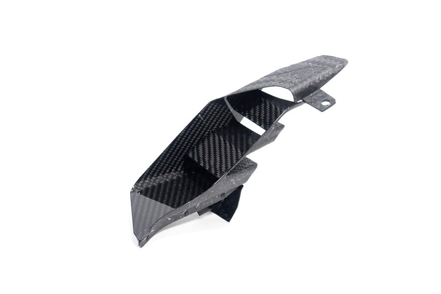 Ilmberger Rear Winglet M 1000 XR - right - carbon - glossy