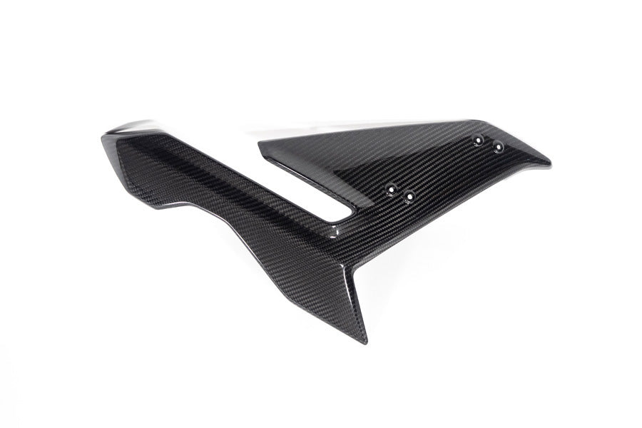 Ilmberger Side Fairing S 1000 R - right - carbon - glossy