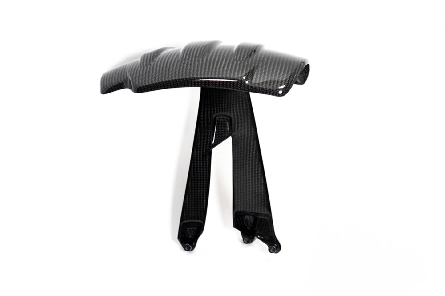 Ilmberger Splash guard R 1250 GS - rear - carbon - glossy