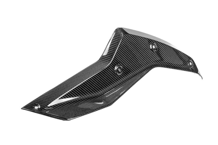 Ilmberger Upper Tank Cover R 1300 GS Adventure - left - carbon - glossy