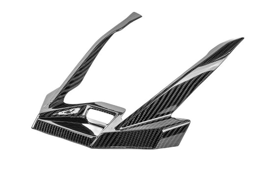 Ilmberger Beak Extension R 1300 GS Adventure - carbon - glossy
