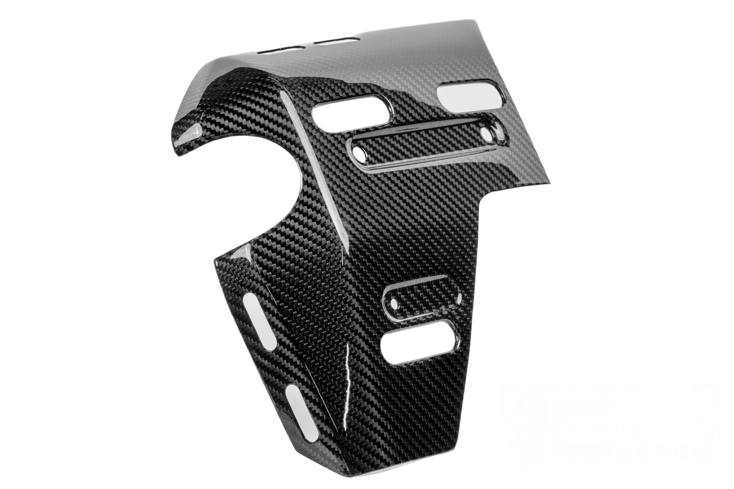 Ilmberger radiator cover with holes for bag mounts R 1300 GS Adv. - left - carbon - glossy