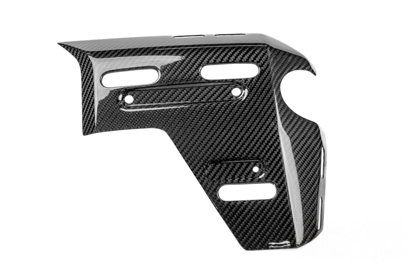 Ilmberger radiator cover with holes for bag mounts R 1300 GS Adv. - right - carbon - glossy