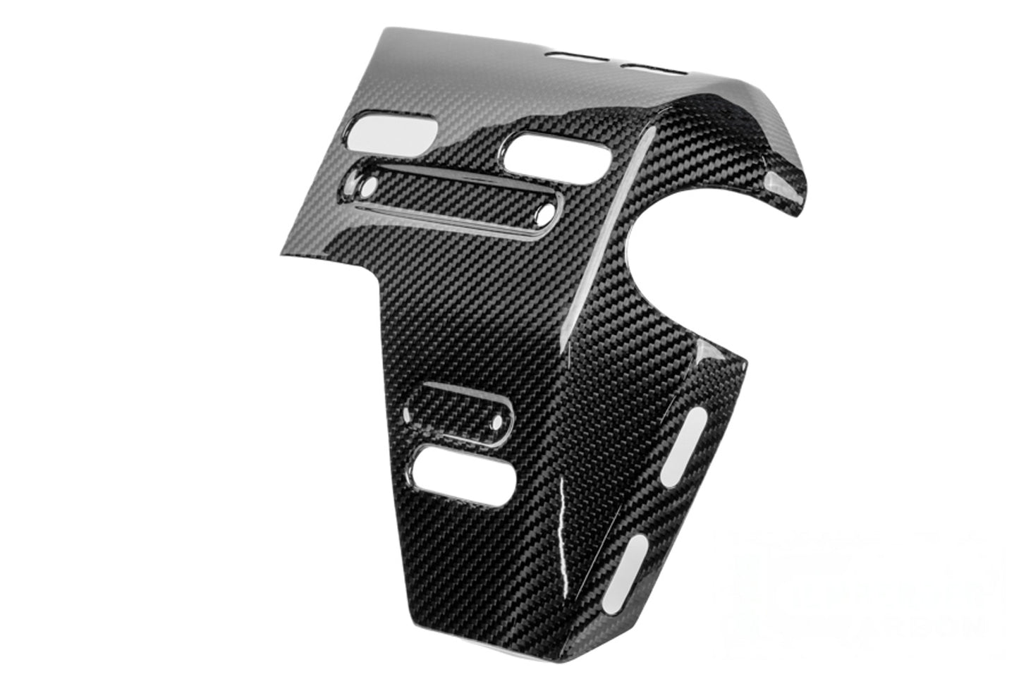 Ilmberger radiator cover with holes for bag mounts R 1300 GS Adv. - right - carbon - glossy