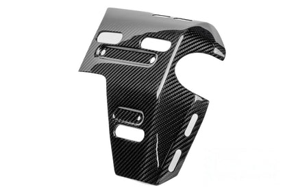Ilmberger radiator cover with holes for bag mounts R 1300 GS Adv. - right - carbon - glossy