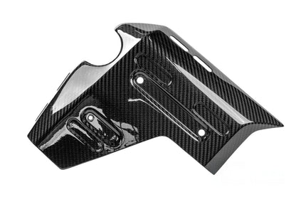 Ilmberger Water Radiator Cover R 1300 GS Adventure - left - carbon - glossy