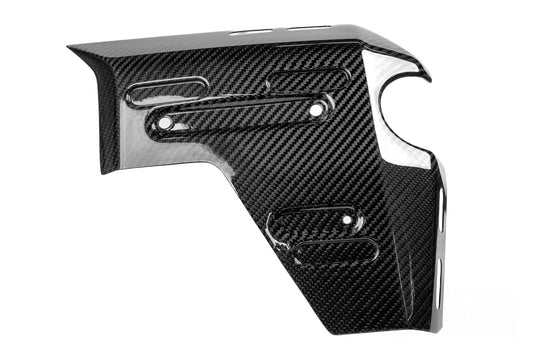 Ilmberger Water Radiator Cover R 1300 GS Adventure - right - carbon - glossy