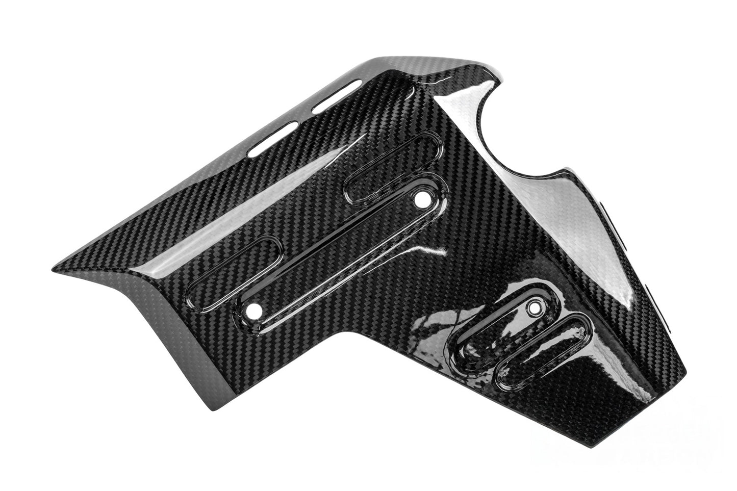 Ilmberger Water Radiator Cover R 1300 GS Adventure - right - carbon - glossy