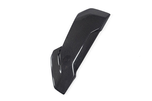 Ilmberger Side cover on the radiator protection - right - carbon - glossy