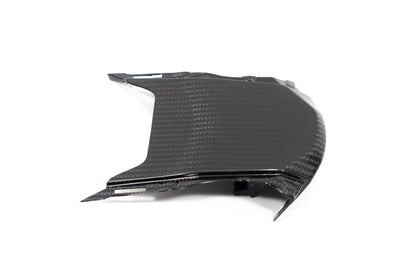 Ilmberger Tail fairing above - carbon