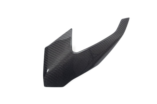 Ilmberger Front Fairing - left - carbon