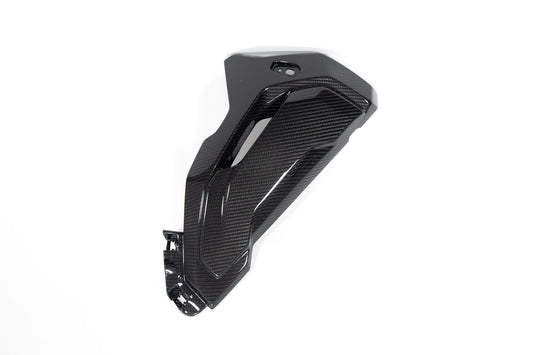 Ilmberger Radiator cover (complete version) - right - carbon