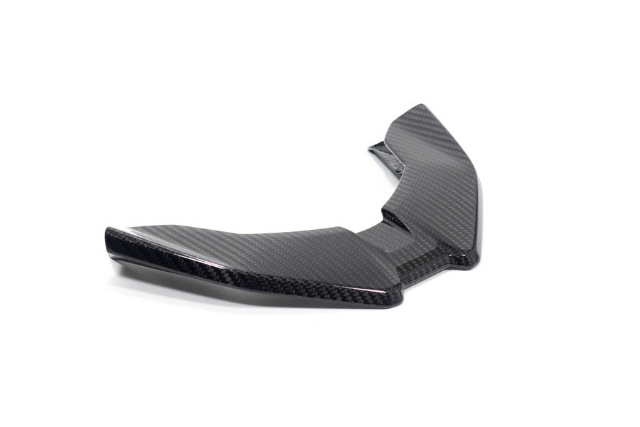 Ilmberger Front Beak for the M 1000 XR - carbon - glossy