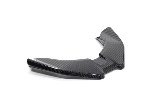 Ilmberger Front Beak for the M 1000 XR - carbon - glossy
