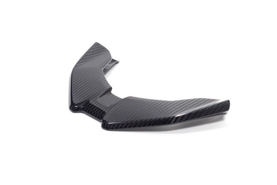 Ilmberger Front Beak for the M 1000 XR - carbon - glossy