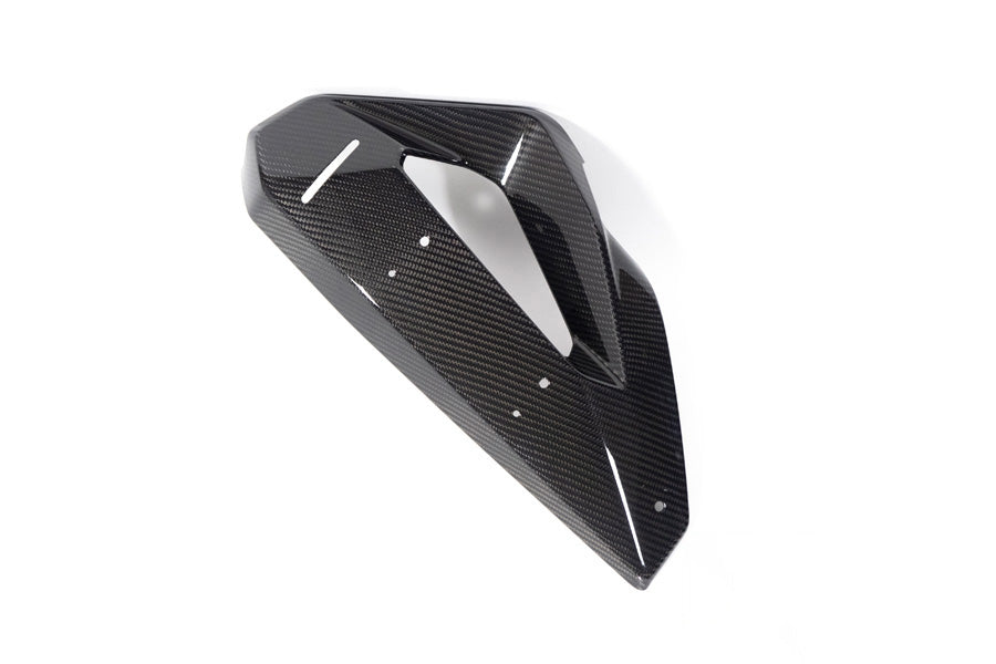 Ilmberger Cover on Radiator Fairing + Winglet Mount M 1000 XR - left - carbon - glossy
