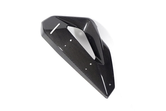 Ilmberger Cover on Radiator Fairing + Winglet Mount M 1000 XR - left - carbon - glossy