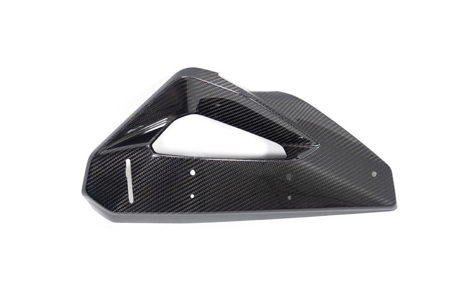 Ilmberger Cover on Radiator Fairing + Winglet Mount M 1000 XR - left - carbon - glossy