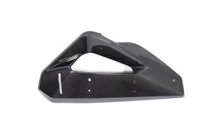 Ilmberger Cover on Radiator Fairing + Winglet Mount M 1000 XR - left - carbon - glossy