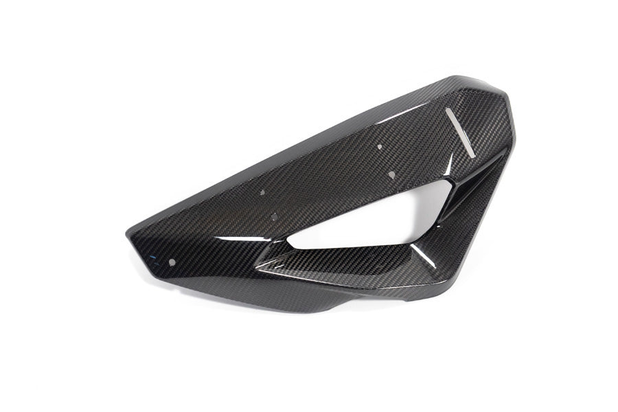 Ilmberger Cover on Radiator Fairing + Winglet Mount M 1000 XR - left - carbon - glossy