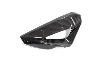 Ilmberger Cover on Radiator Fairing + Winglet Mount M 1000 XR - left - carbon - glossy