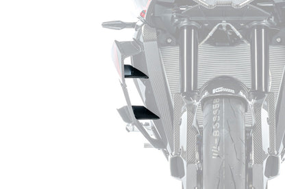 Ilmberger Inner Winglet M 1000 XR - right - carbon - glossy