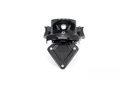 Ilmberger Splash guard number plate holder M 1000 XR - carbon - glossy