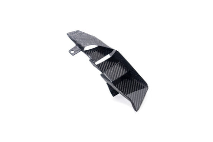 Ilmberger Rear Winglet M 1000 XR - left - carbon - glossy