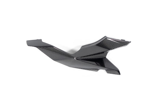 Ilmberger Rear Fairing M 1000 XR - right - carbon - glossy