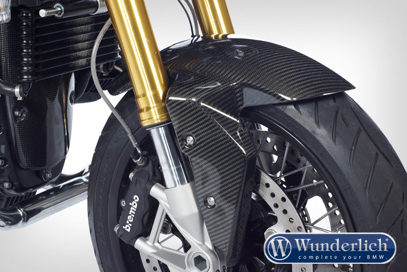 Front fender - carbon
