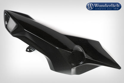 Intake pipe cover carbon F 800 R (2015-) - left - carbon
