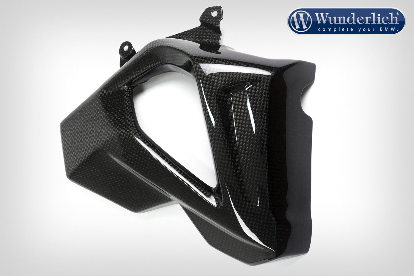 Water cooler protection F 800 R 2015 - right - carbon