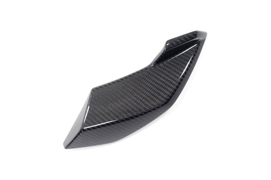 Ilmberger Side fairing - carbon - left