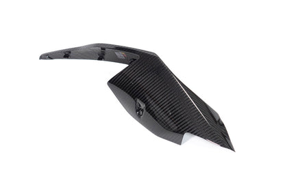 Ilmberger Tail fairing S 1000 RR (2019 -) - right - carbon