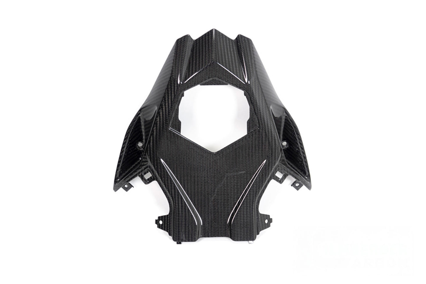 Ilmberger Frame protector S 1000 RR (2019 -) - carbon