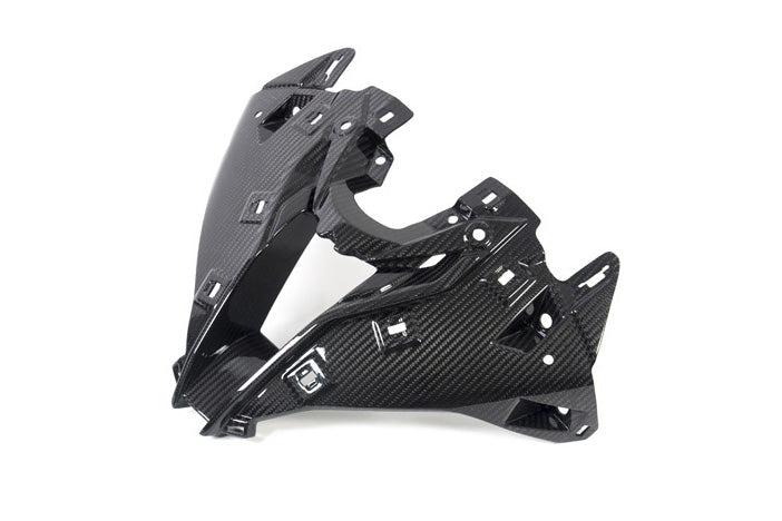 Ilmberger Air intake M 1000 RR - carbon - glossy