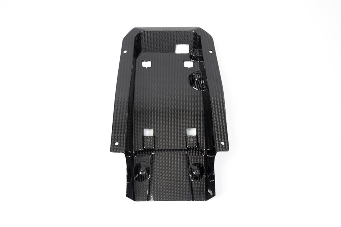 Ilmberger Tail fairing racing M 1000 RR - carbon - glossy