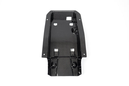 Ilmberger Tail fairing racing M 1000 RR - carbon - glossy