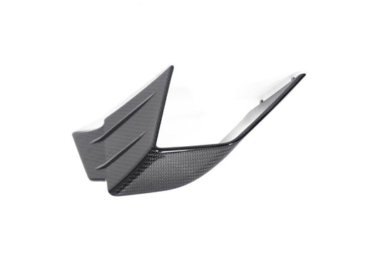 Ilmberger Faring Side Winglet M 1000 RR - left - carbon - glossy