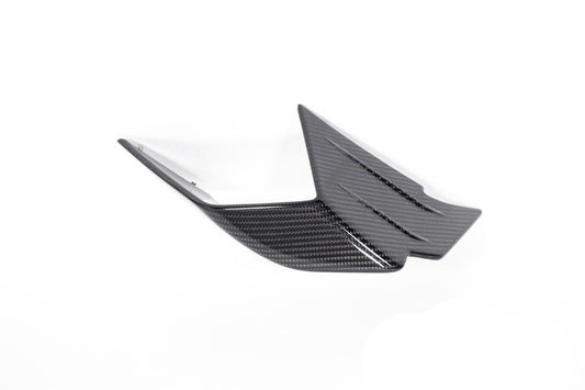Ilmberger Faring Side Winglet M 1000 RR - right - carbon - glossy