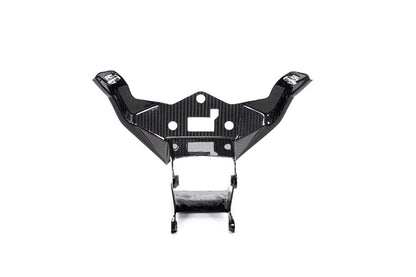 Ilmberger Instrument panel M 1000 RR - carbon - glossy