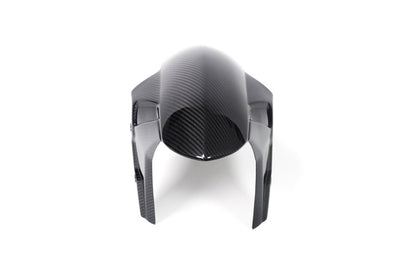 Ilmberger Front fender racing M 1000 RR - carbon - glossy