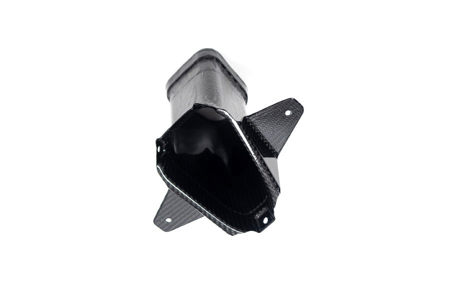 Ilmberger air duct M 1000 RR - carbon - glossy