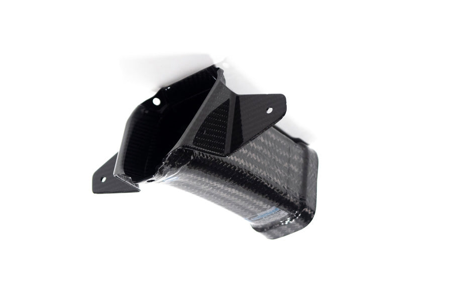 Ilmberger air duct M 1000 RR - carbon - glossy
