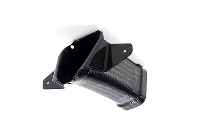 Ilmberger air duct M 1000 RR - carbon - glossy