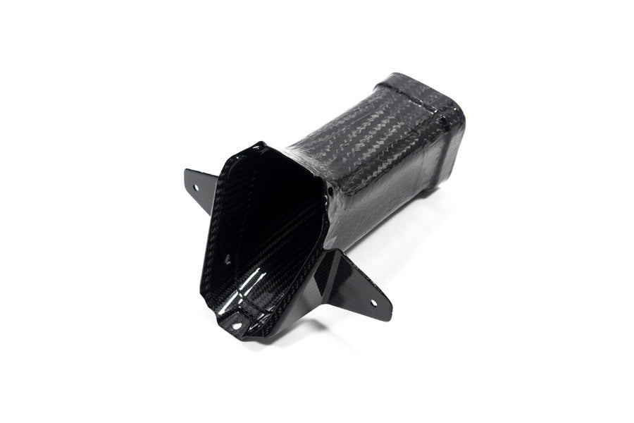 Ilmberger air duct M 1000 RR - carbon - glossy
