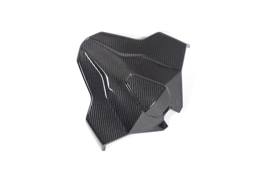 Ilmberger Tail fairing Monoposto M 1000 RR - carbon - glossy